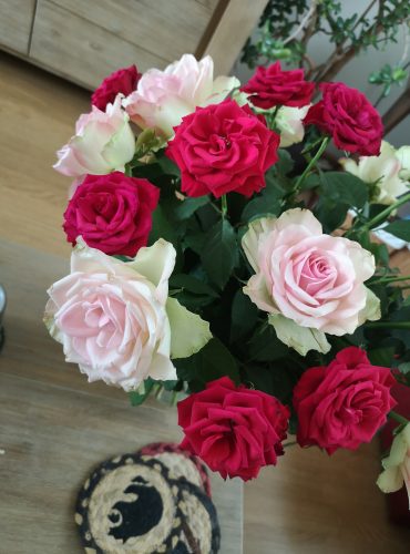 over ons 17 IMG_20220518_191743