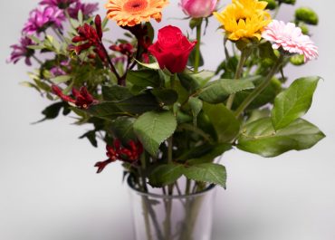 6 Algemene Verzorgings tips