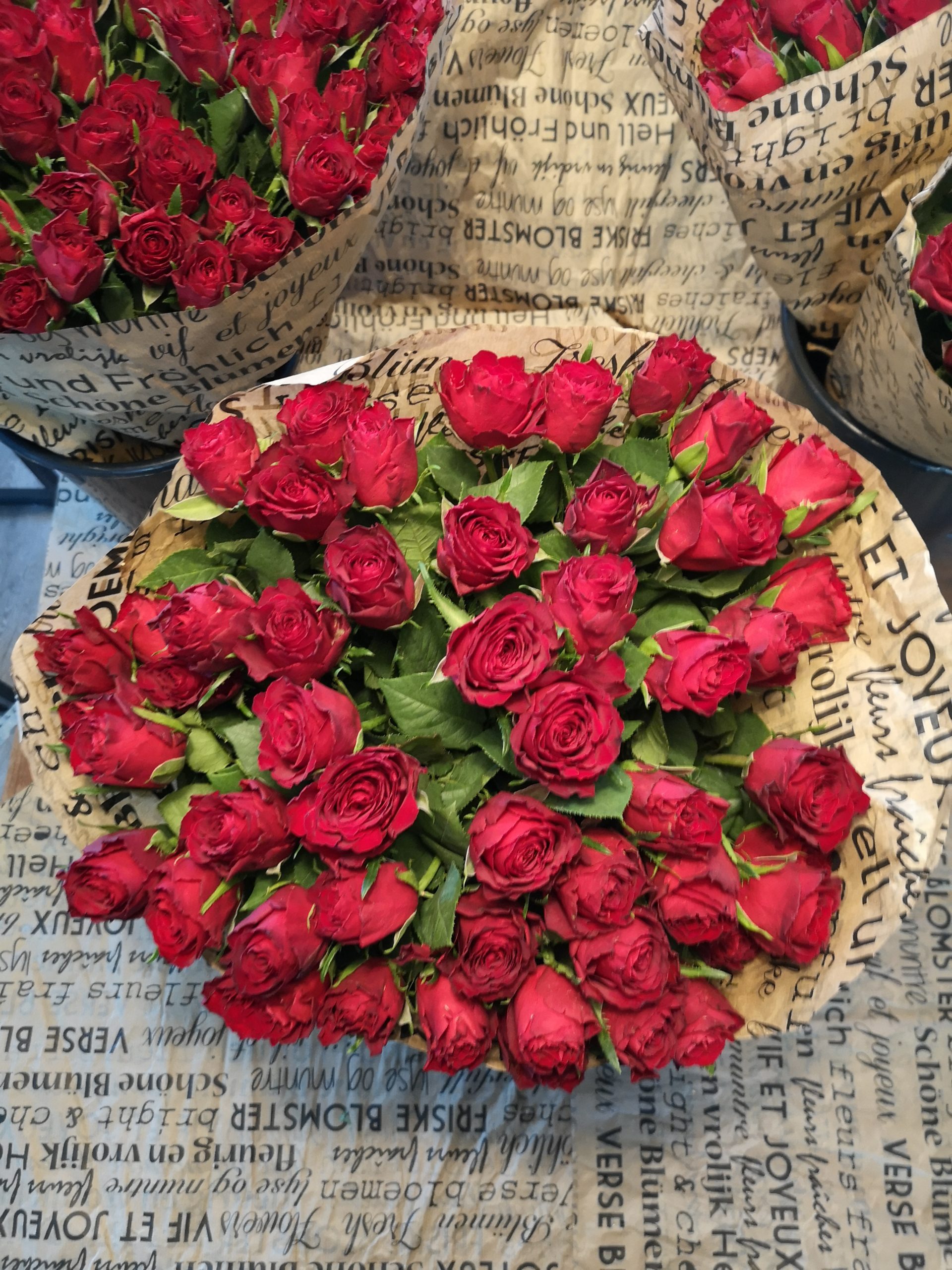 Passief Wat Ramen wassen 50 Rode Rozen "Onvoorwaardelijke Liefde" - De Bloemenjongen