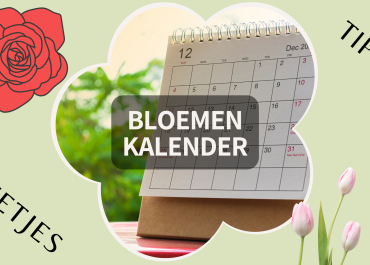Bloemkalender; Welke bloeiperiode hebben de verschillende bloemen?