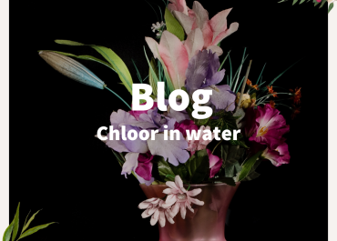Chloor in water bij bloemen: hoe werkt het en wat zijn de gevolgen?