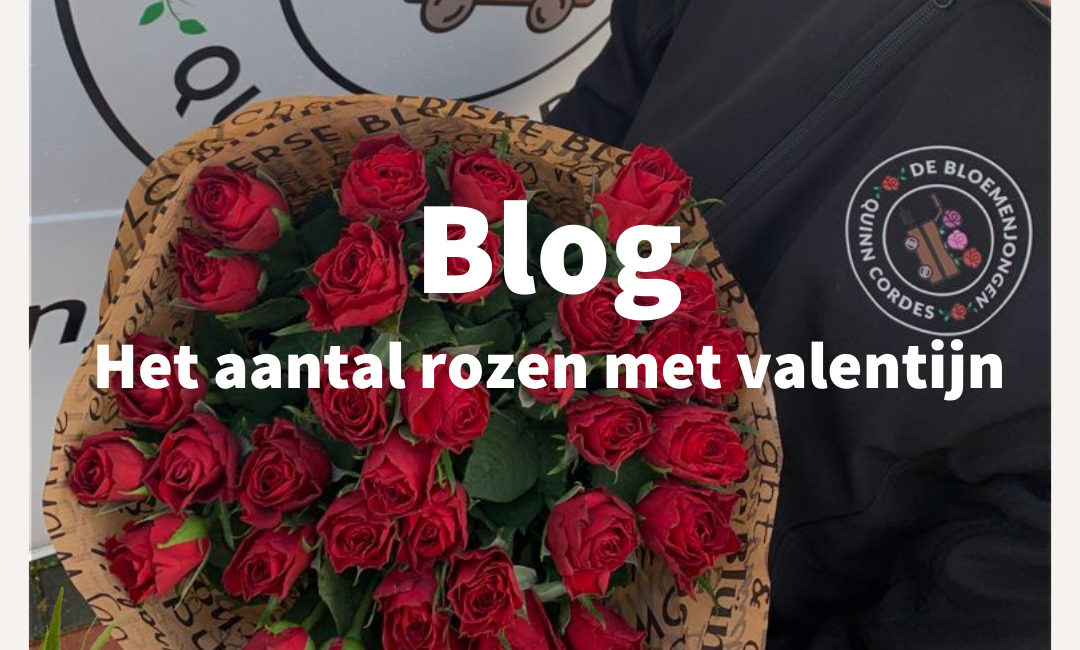 blog Het aantal rozen met valentijn