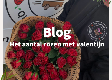 De betekenis van het aantal rode rozen: een gids voor het geven en ontvangen van rozen tijdens valentijnsdag