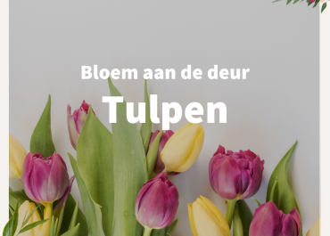 Bloemen aan huis: Tulpen