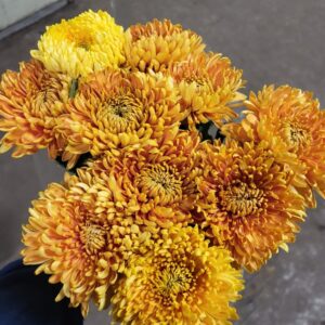bloemen