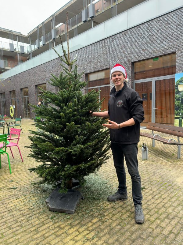 Kerstboom Scandinavische Nordmann 175-225 cm