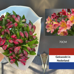 Winkel 7 Bloemen voor verkopers aan de deur