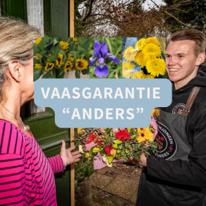 Winkel 13 vaasgrantie
