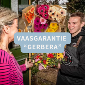 Winkel 15 vaasgrantie