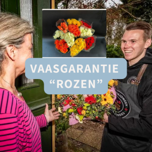 Winkel 16 vaasgrantie
