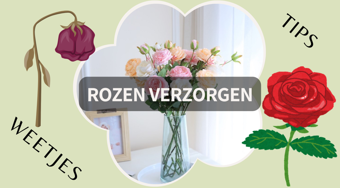 Alles wat je moet weten over rozen verzorgen