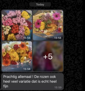 WhatsApp resultaten bloemenwijk verkoper bijbaan