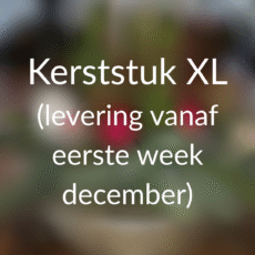Kerst starterspakket 2