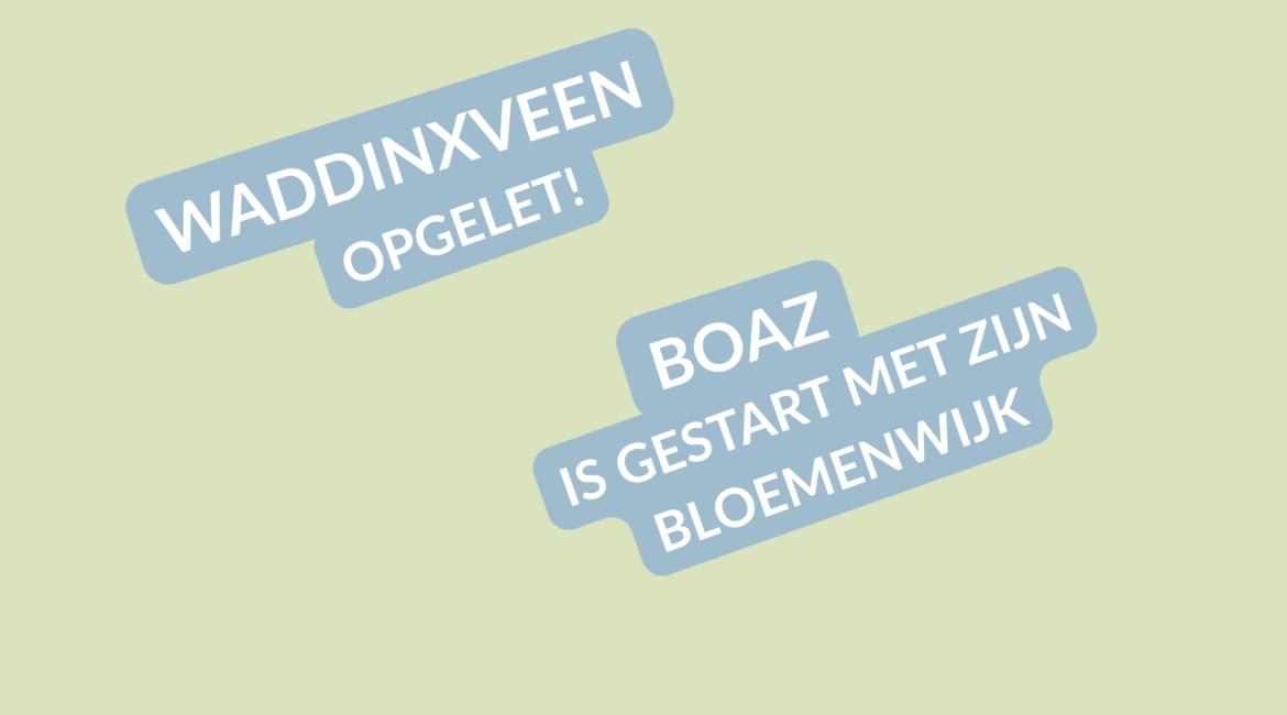 Boaz (13) bloemenwijk verkoper Nieuw-Vennep bijbaan