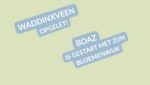 Boaz (13) bloemenwijk verkoper Nieuw-Vennep bijbaan