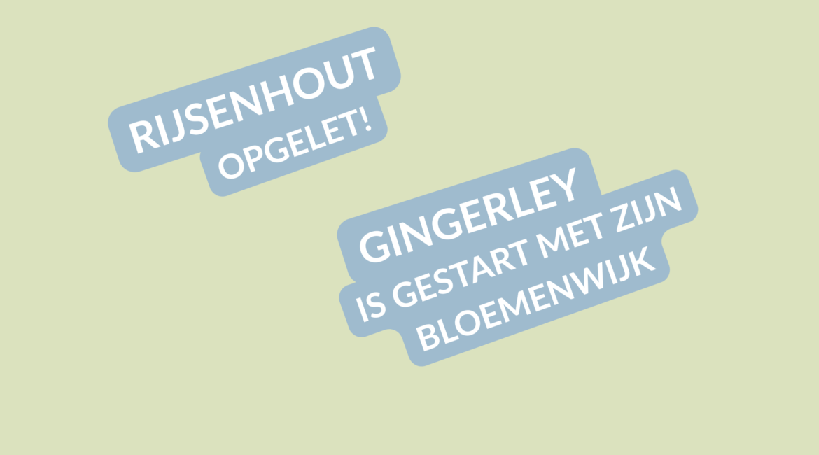 Gingerley (13) bloemenwijk verkoper Rijsenhout bijbaan
