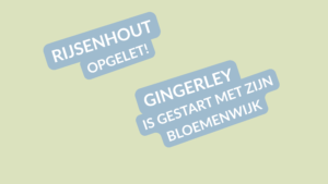 Blog 7 Gingerley (13) bloemenwijk verkoper Rijsenhout bijbaan